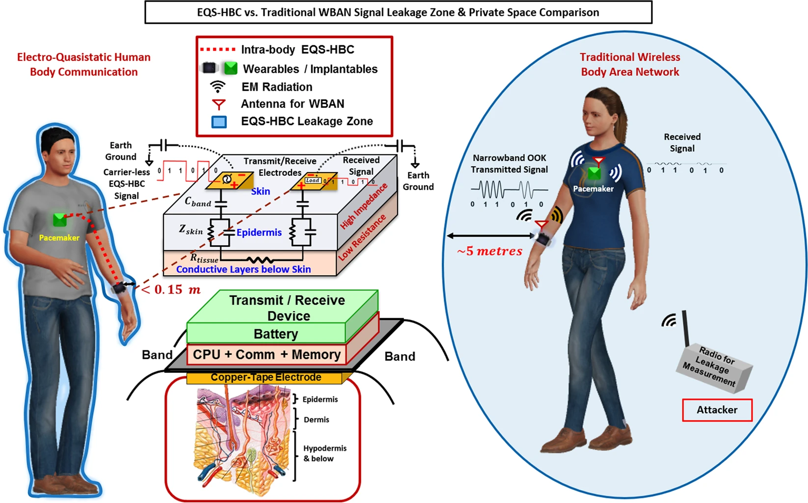 Enabling Covert Body Area Network using Electro-Quasistatic Human Body Communication